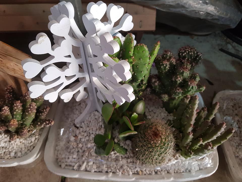 Cassar Pet & Hobby Shop Pet Shops