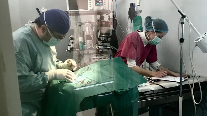 Pets Veterinary Clinic