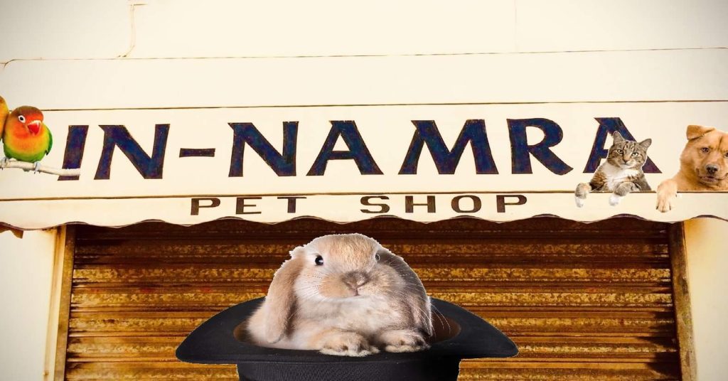In-Namra Pet Shop Pet Shops