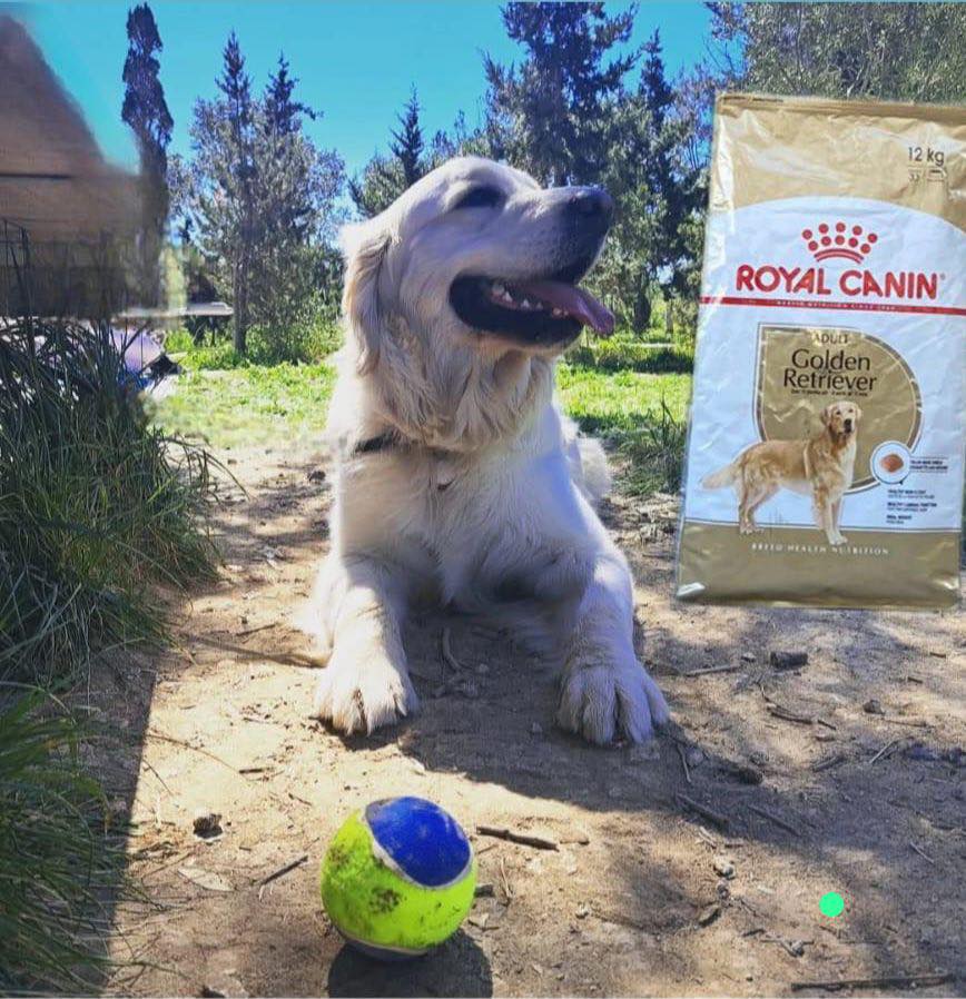 Pets World St. Paul's Bay