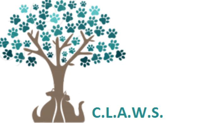 Claws Cat Shelter