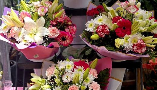 Greenscapes Pet Shops