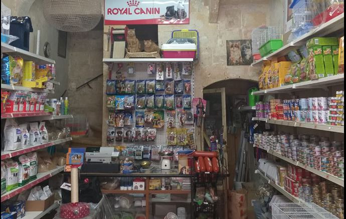 Valletta Little Paws