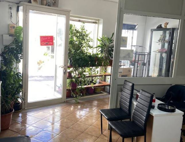 Charms Pet Grooming Salon