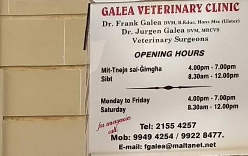 Galea Veterinary Clinic - Gozo