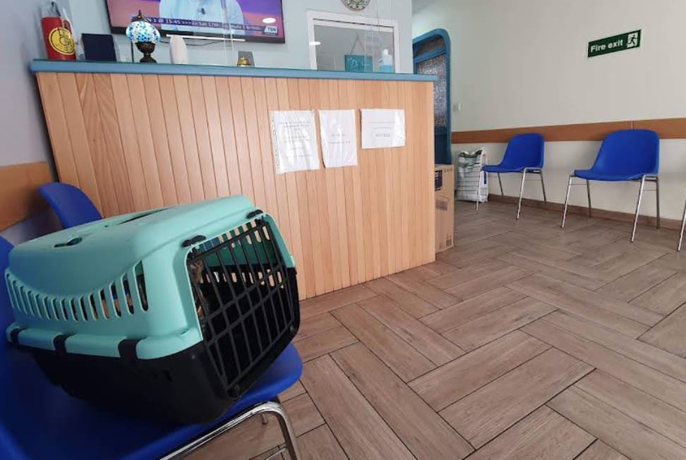 Galea Veterinary Clinic - Gozo