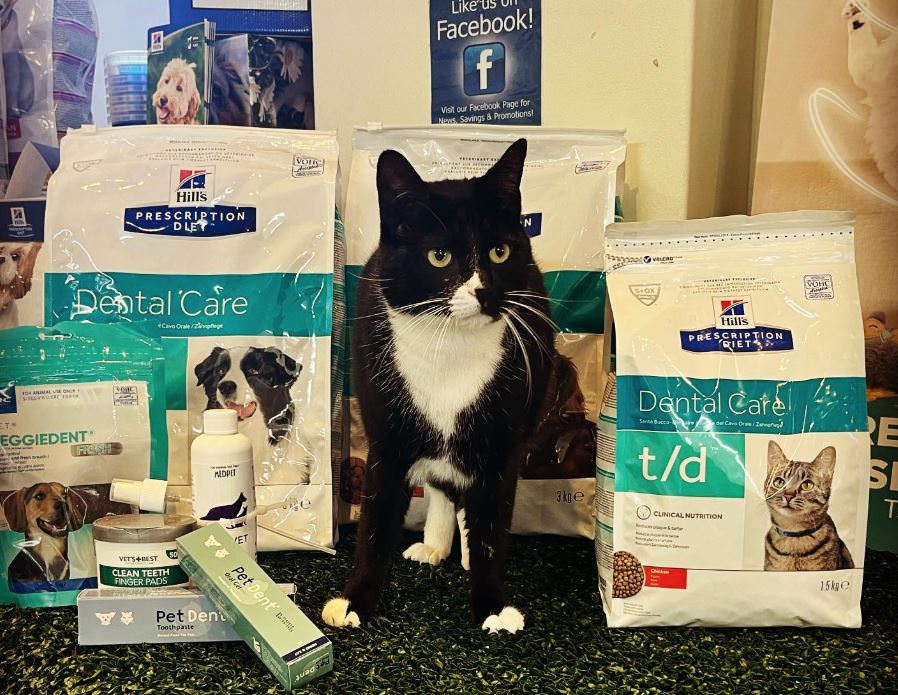 St. Francis Vetertinary Centre