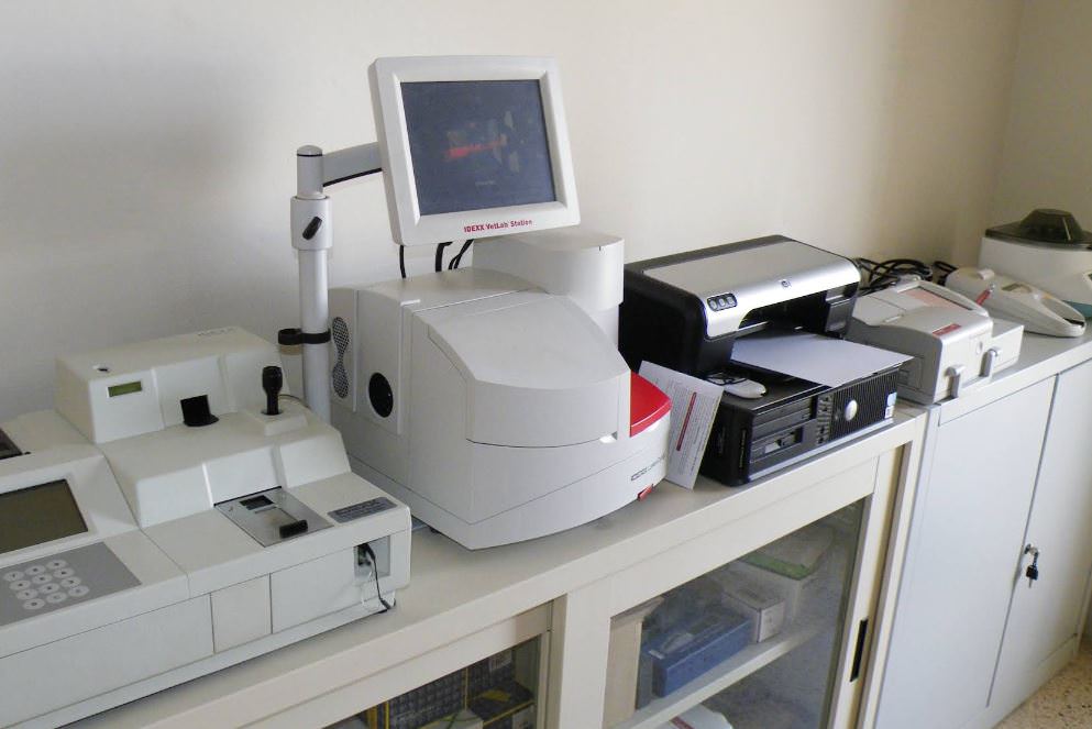 Best Friends Veterinary Clinic