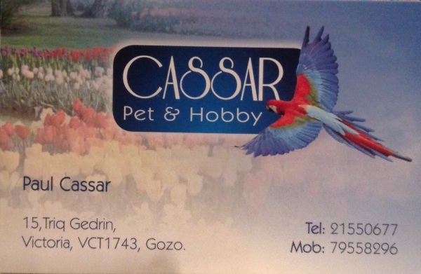 Cassar Pet & Hobby Shop Pet Shops