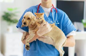 Veterinary Regulation Directorate